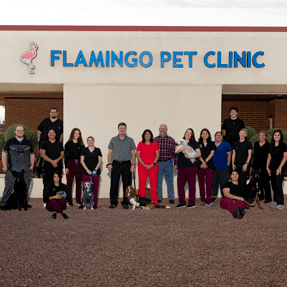 FPC staff with pets