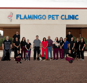 FPC staff with pets