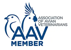 AAV Member Badge