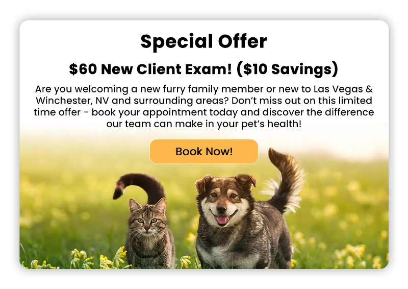 Special Offer! $60 New Client Exam! ($10 Savings)